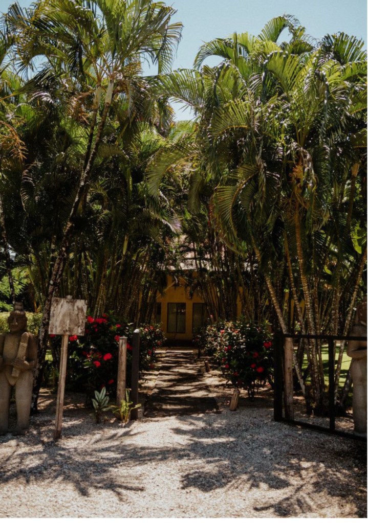 Costa Rica Retreat with Lori Reising