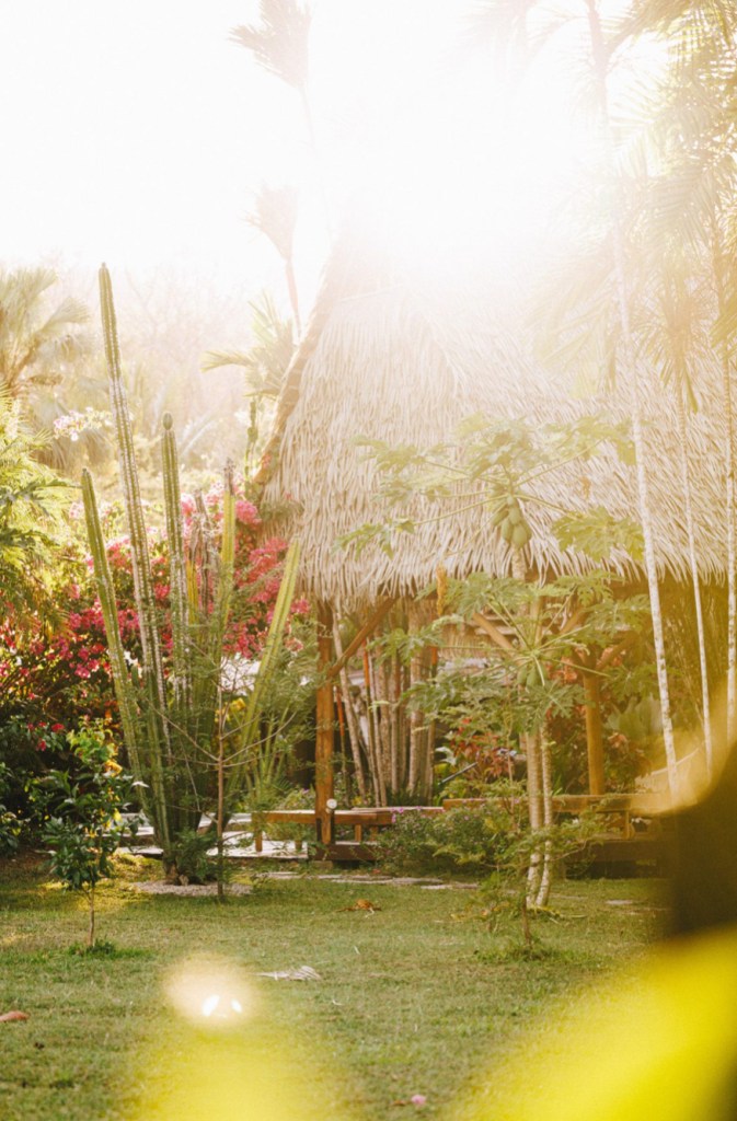 Costa Rica Retreat with Lori Reising