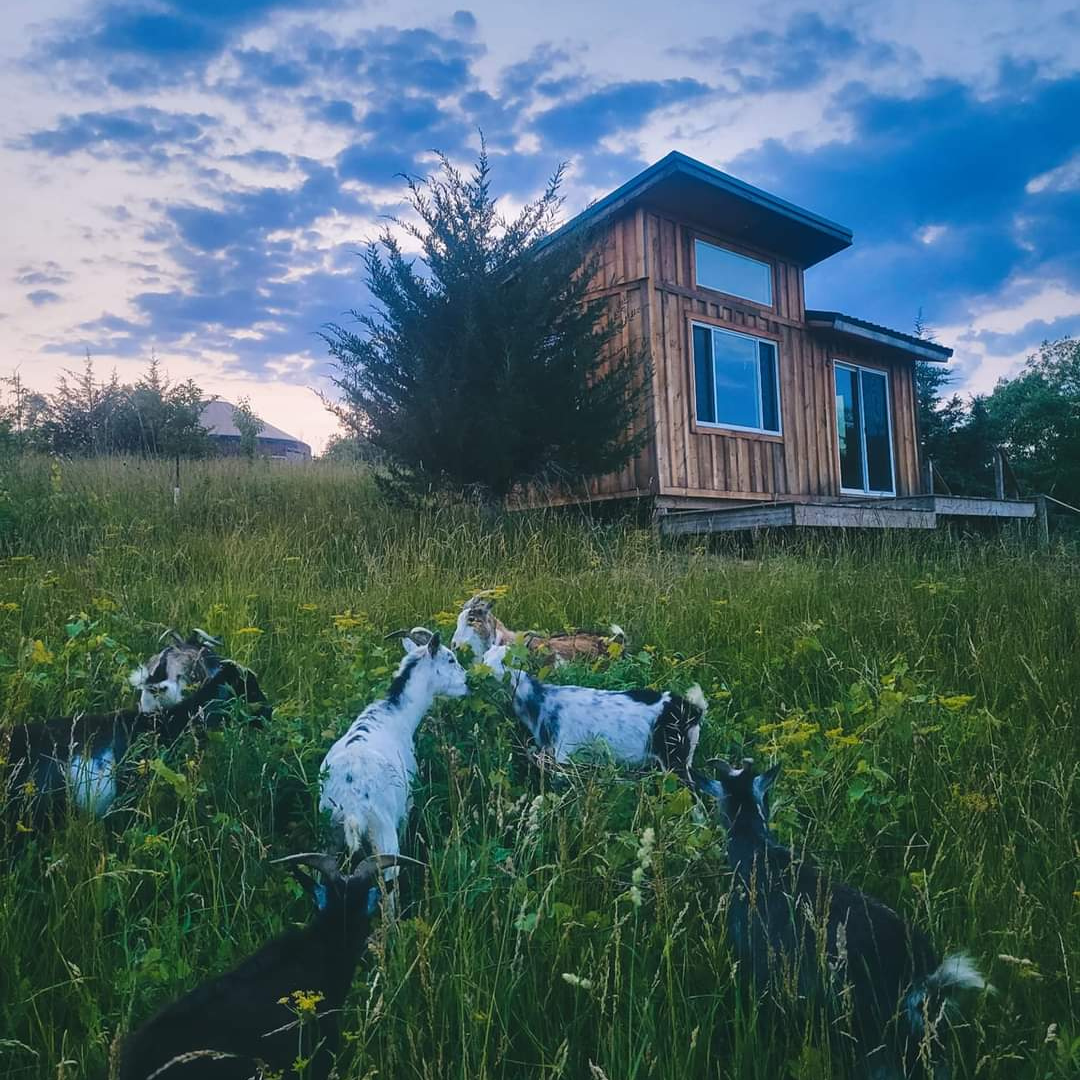 Windy Goat Acres and The Next Octave Retreat with Lori Reising